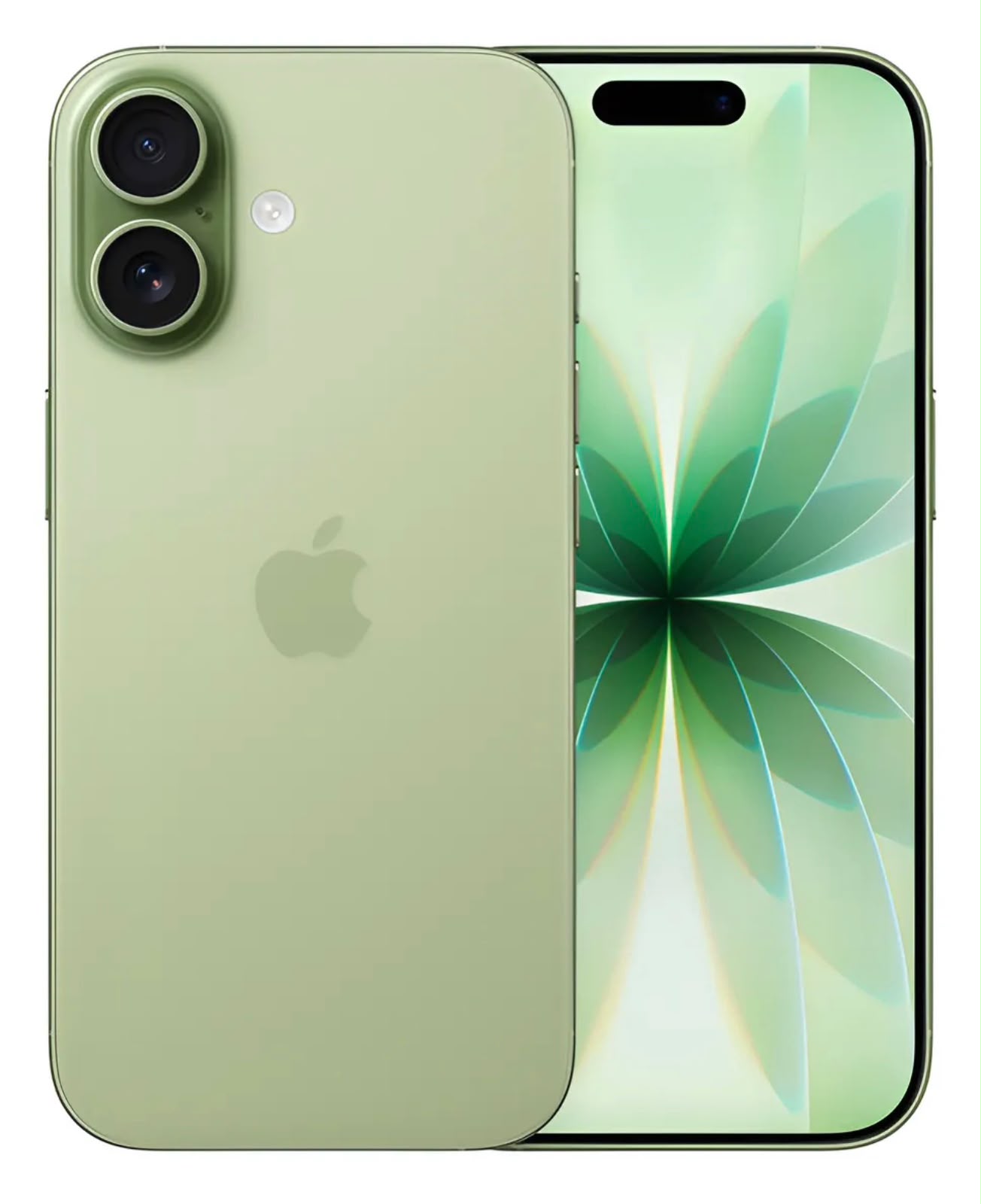 iPhone 17 256 GB 8 GB Sávia